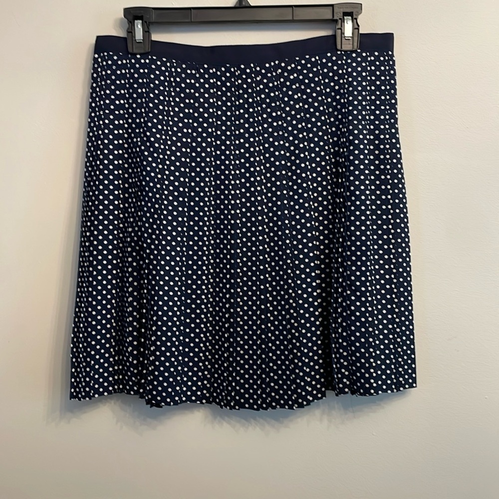 J.Crew Lined Skirt
